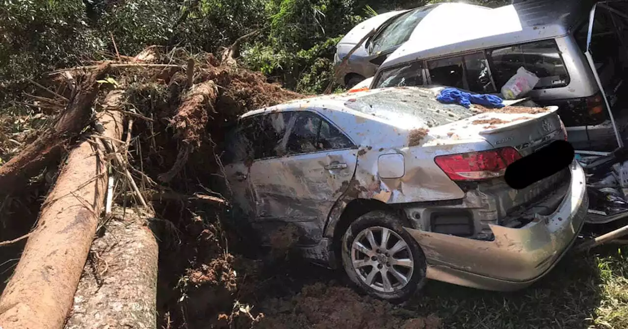 Landslide at Malaysia campground kills at least 19; victims found 'hugging each other'