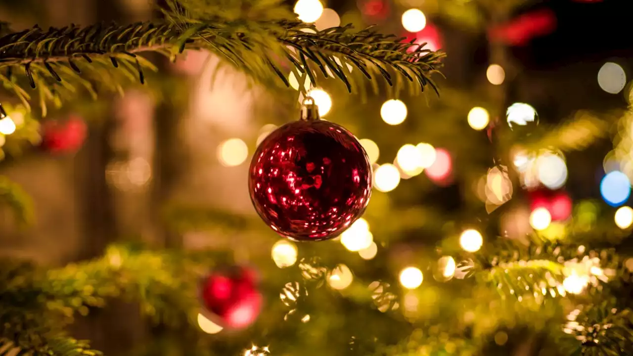 Gironde : un homme scie un sapin de Noël aux cris de «Allahu Akbar»