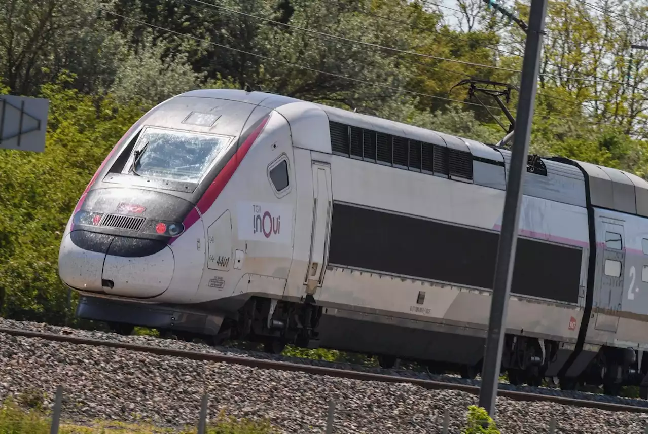 Grève SNCF : une vingtaine de TGV supprimés samedi, jour de grands départs en vacances