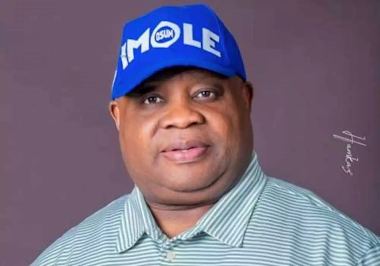 We discovered a lot of looting in Osun - Adeleke's spokesman - Daily Trust