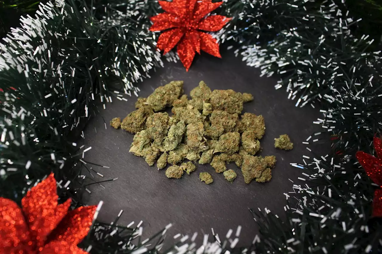 Ask a Stoner: I'm Getting Mom Weed for Christmas, Even If My Family Disapproves