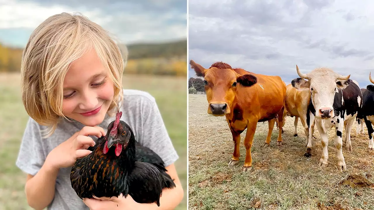 Pennsylvania woman quits her job as makeup artist, opens farm animal rescue sanctuary