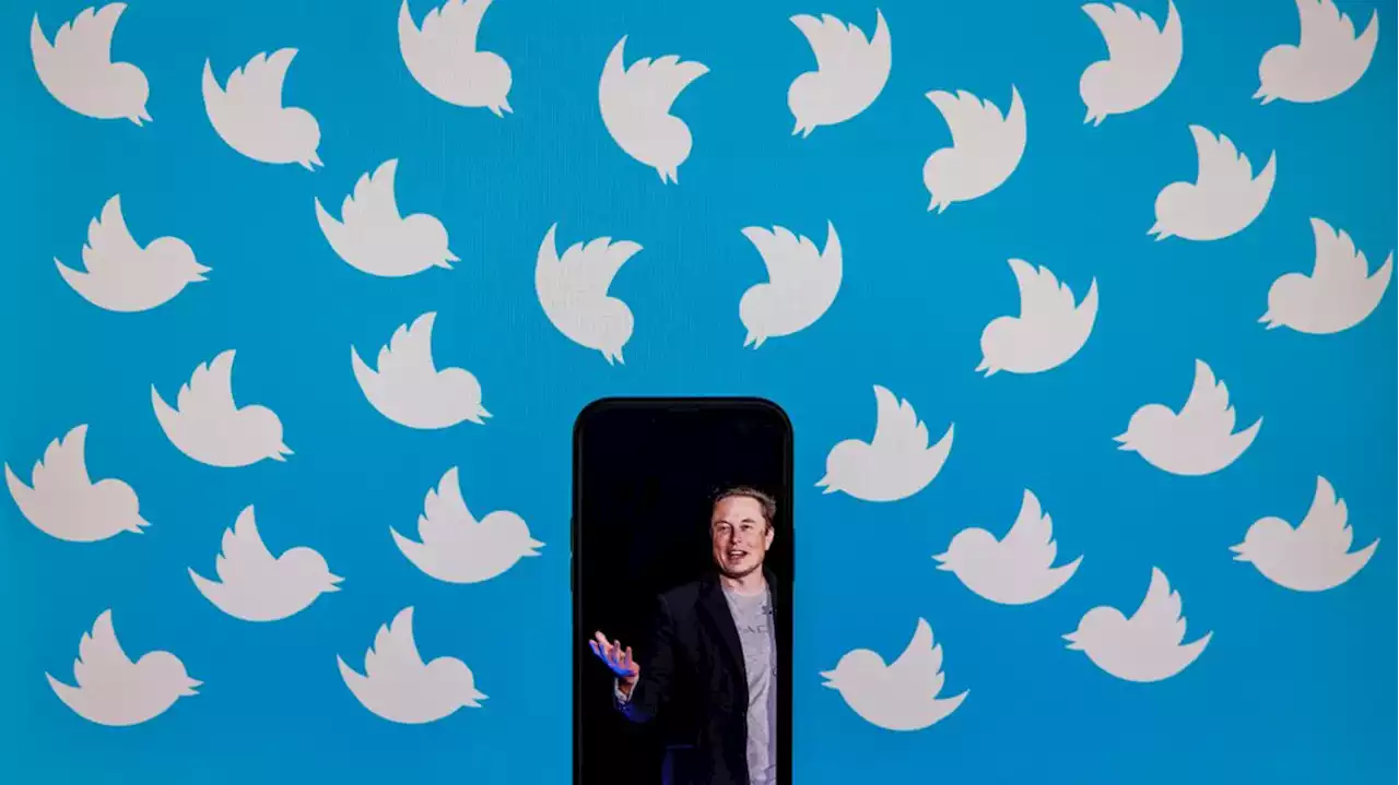 Twitter suspend les comptes de journalistes travaillant sur Elon Musk