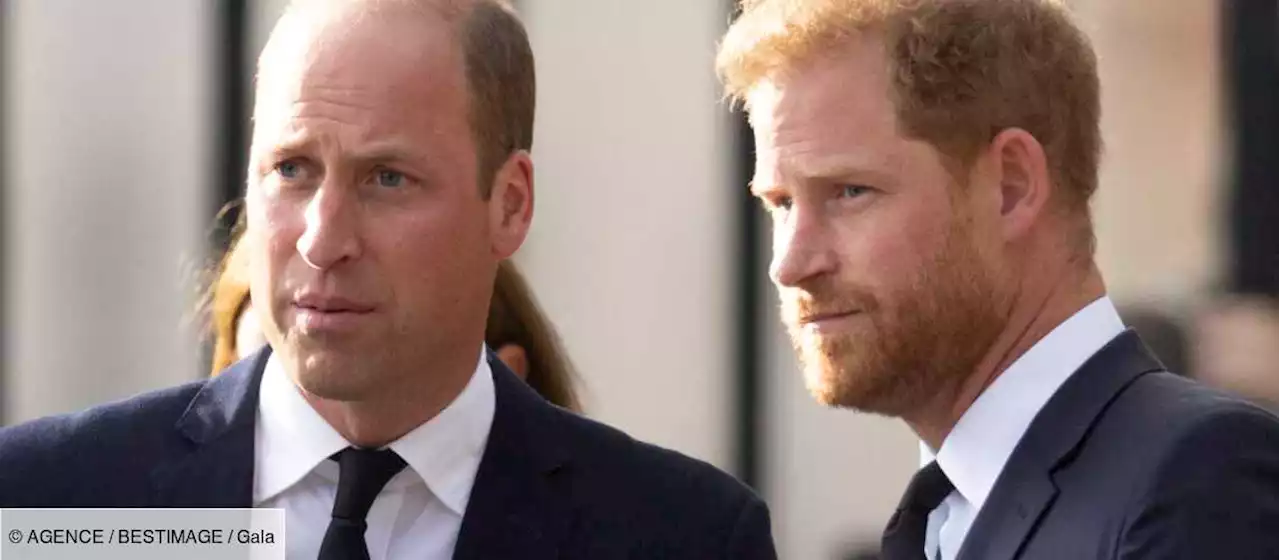 Prince William “traîné dans la boue” par son frère Harry : sa riposte pourrait être terrible - Gala