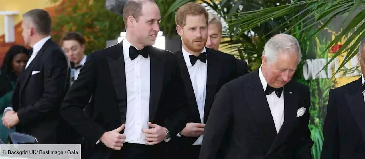 Révélations explosives de Meghan et Harry : pourquoi Buckingham se mure dans le silence - Gala