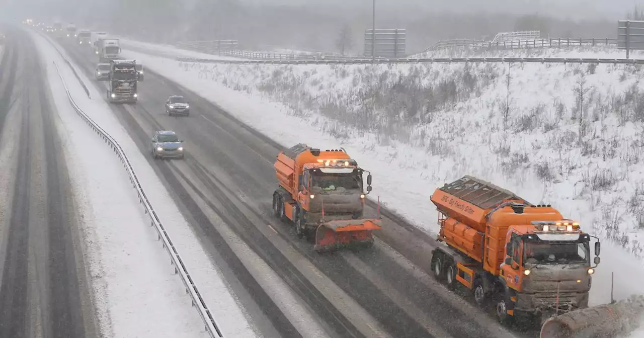 Major M8 crash in Lanarkshire as emergency services rush to scene