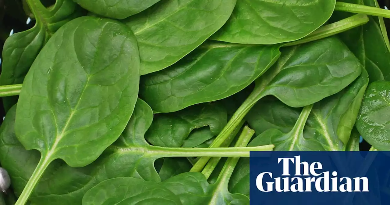 Toxic spinach causing fever and hallucinations prompts health warning after nine treated for poisoning