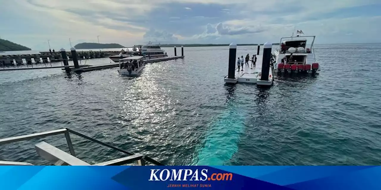 35 Penumpang Didominasi WNA Tercebur ke Laut Saat Jembatan Penghubung di Nusa Penida Bali Roboh, Bupati Sentil Pengelola