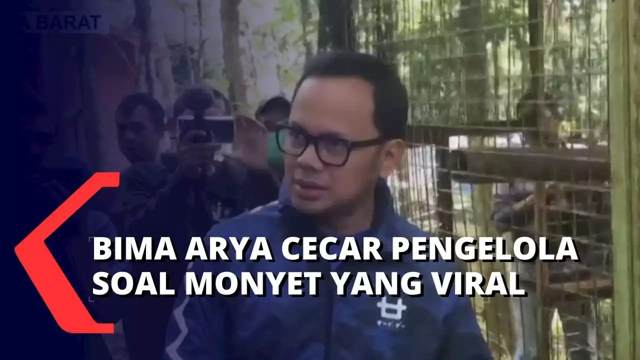 Viral Monyet Mati di Dalam Kandang, Bima Arya Minta Penjelasan Pengelola Bogor Mini Zoo