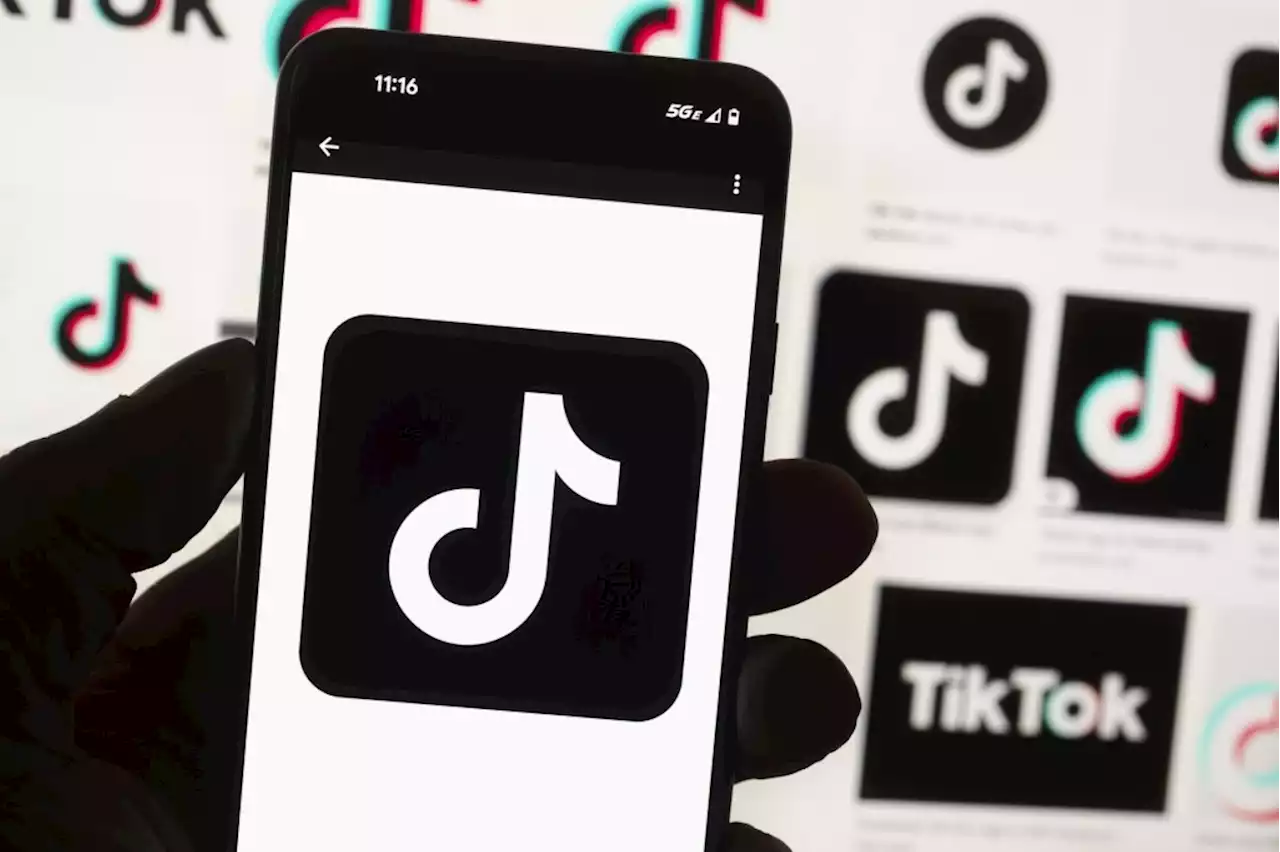 TikTok might be too big to ban, no matter what lawmakers say