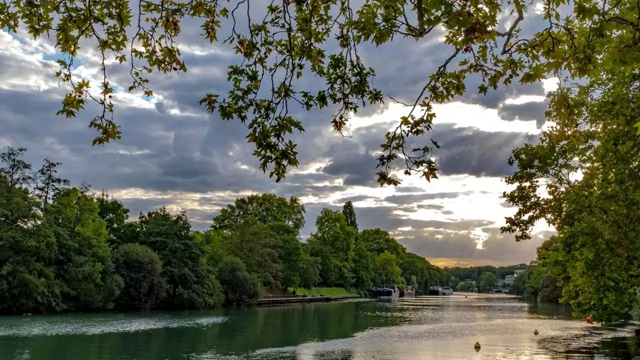 JO 2024 : la Seine-Saint-Denis oeuvre pour rendre la Seine baignable