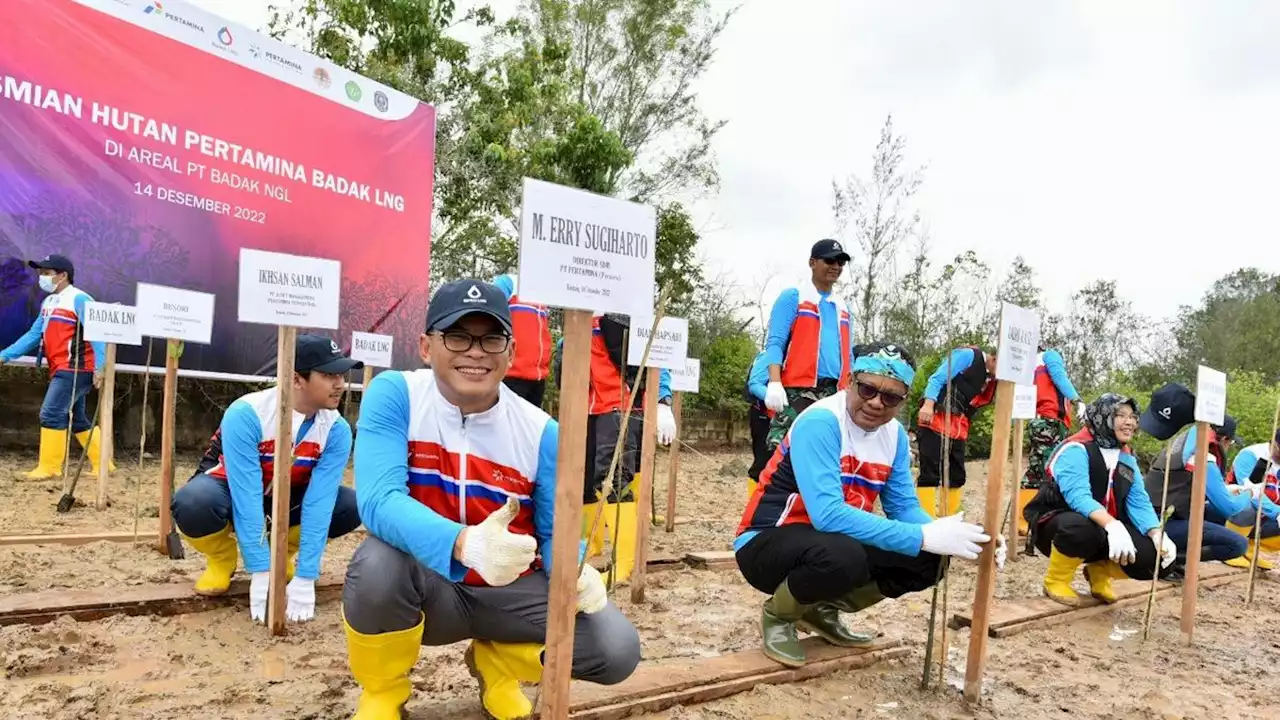 Targetkan Pengurangan Emisi Karbon Melalui Hutan Pertamina