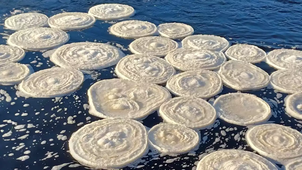 Stunning 'ice pancakes' swirl on the surface of Scottish river