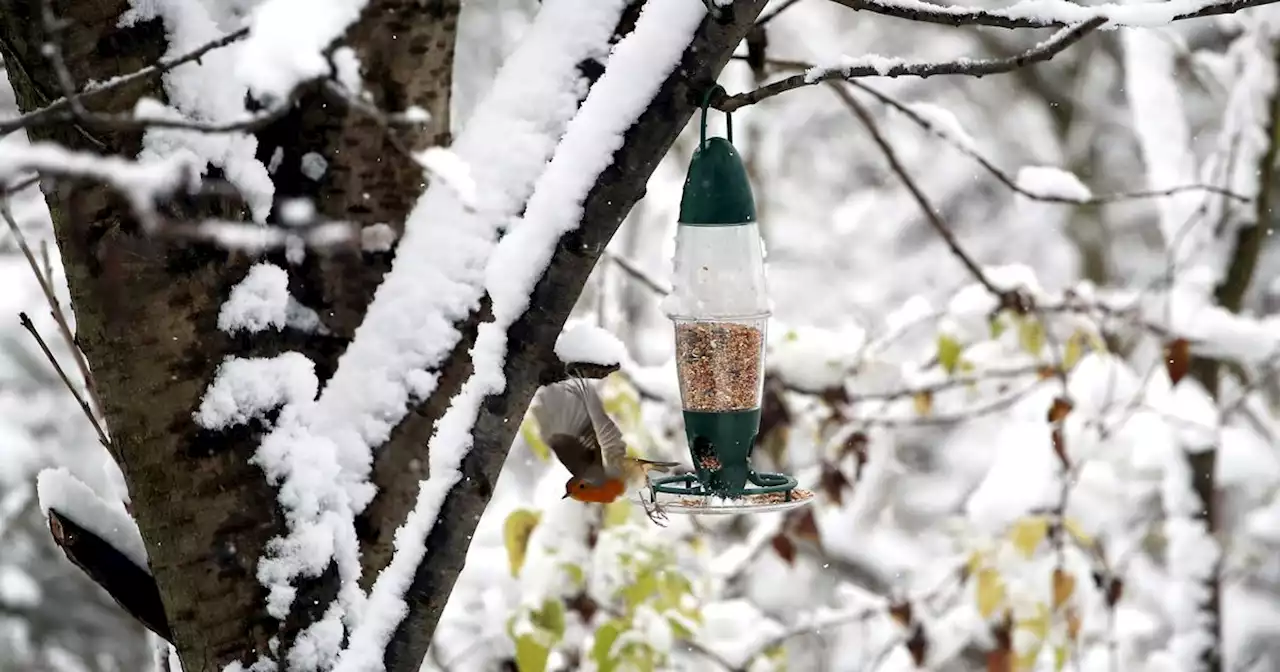 Met Office update on chances of a White Christmas as more snow forecast