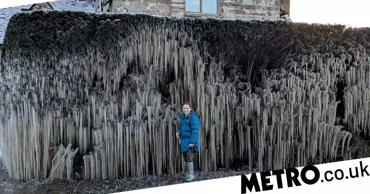 Burst water pipe creates bizarre alien-like icicle phenomenon