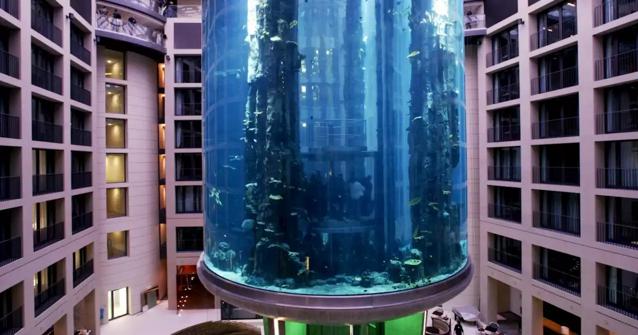 Huge aquarium that housed 1,500 tropical fish bursts in Berlin