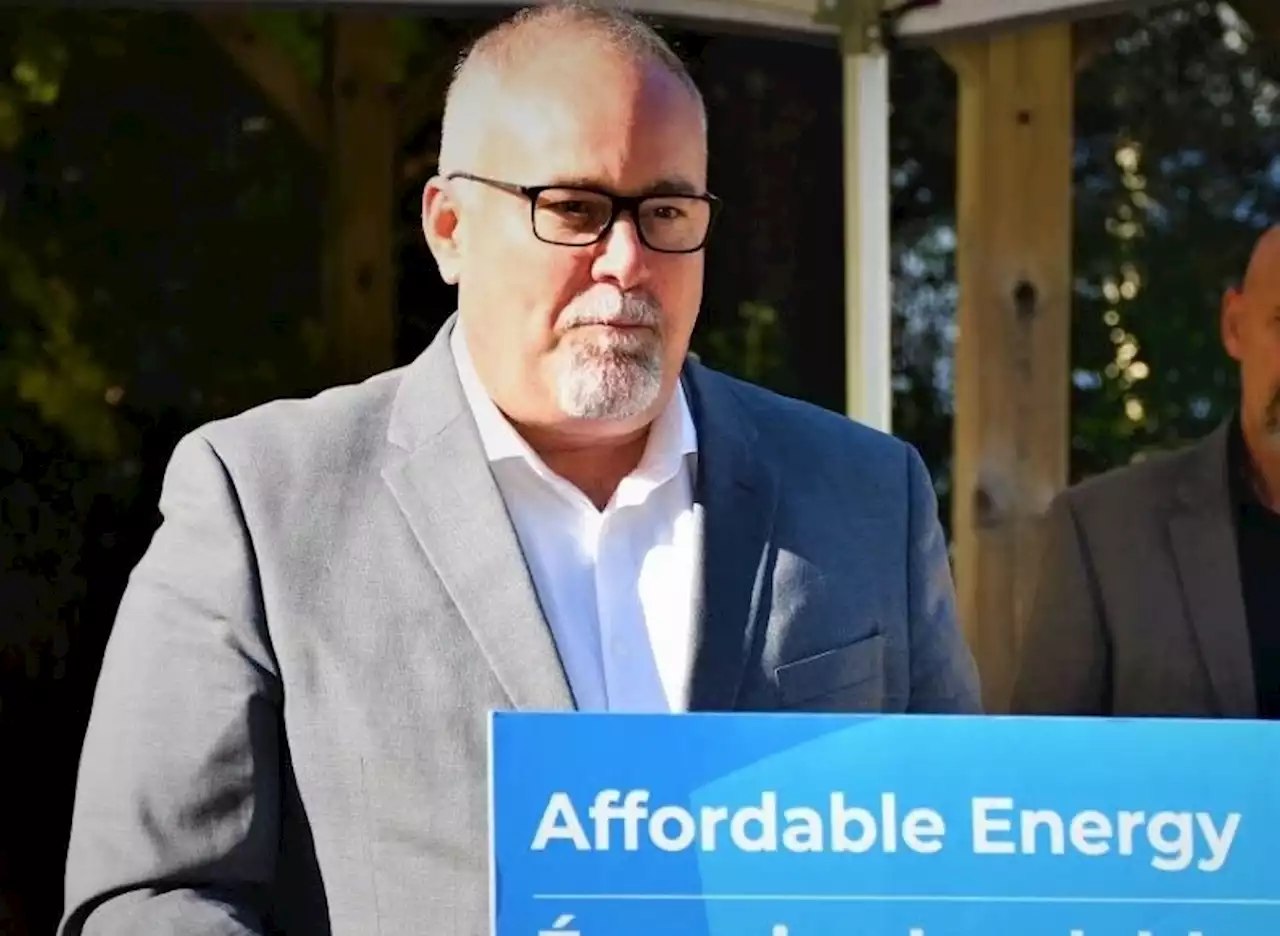 Ontario can eliminate natural gas electricity generation by 2050 at $400B cost: IESO