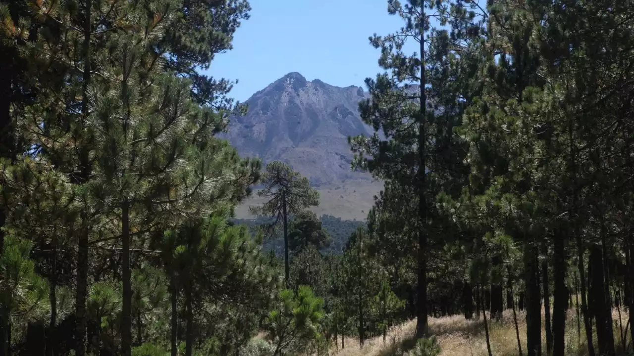 Montañistas alertan por riesgo de que áreas naturales protegidas sean controladas por el crimen organizado