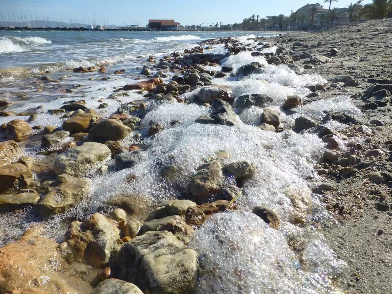 El Gobierno pide 'complicidad' entre las administraciones, sectores y colectivos para recuperar el Mar Menor