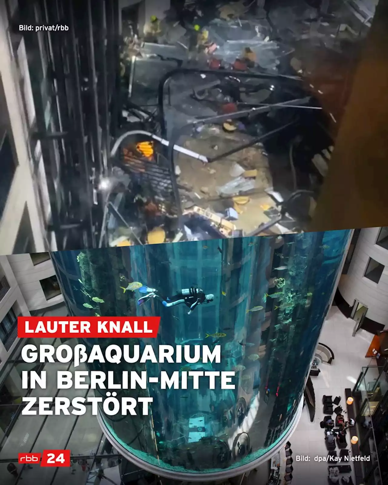 Aquarium in Berlin-Mitte geplatzt - Wasser fließt auf Straße