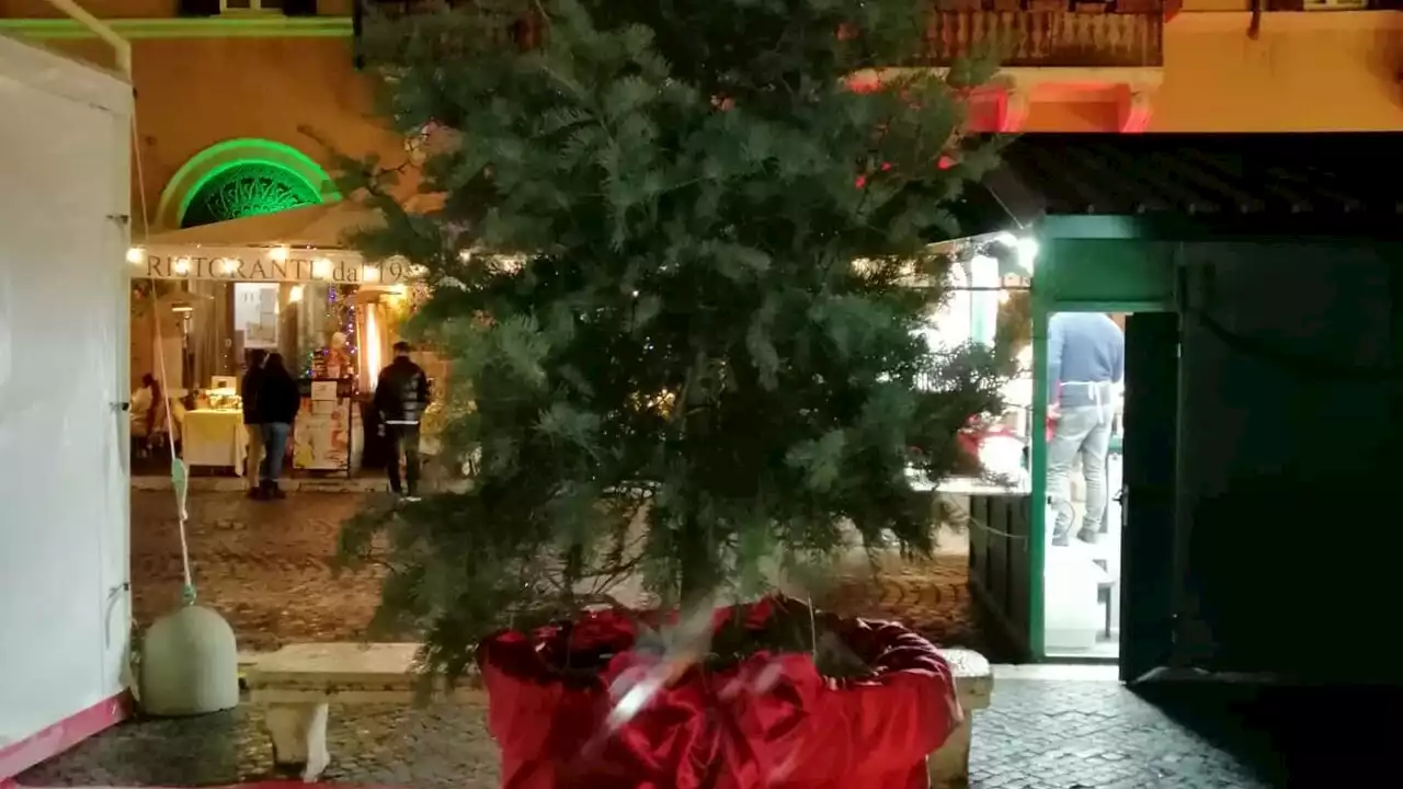 I bimbi romani addobbano l'albero di piazza Navona e scrivono a Gualtieri