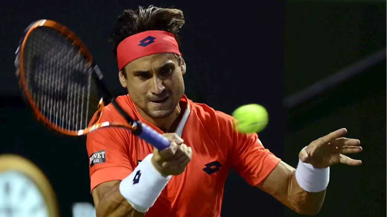 David Ferrer, capitán de la 'Armada' en la Davis