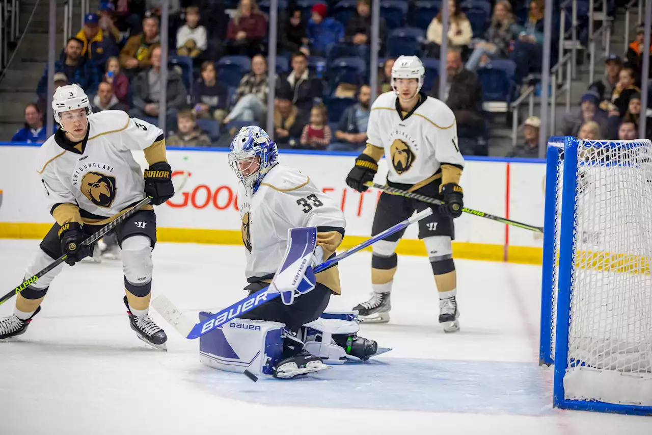 Newfoundland Growlers hit the road looking to keep things consistent | SaltWire