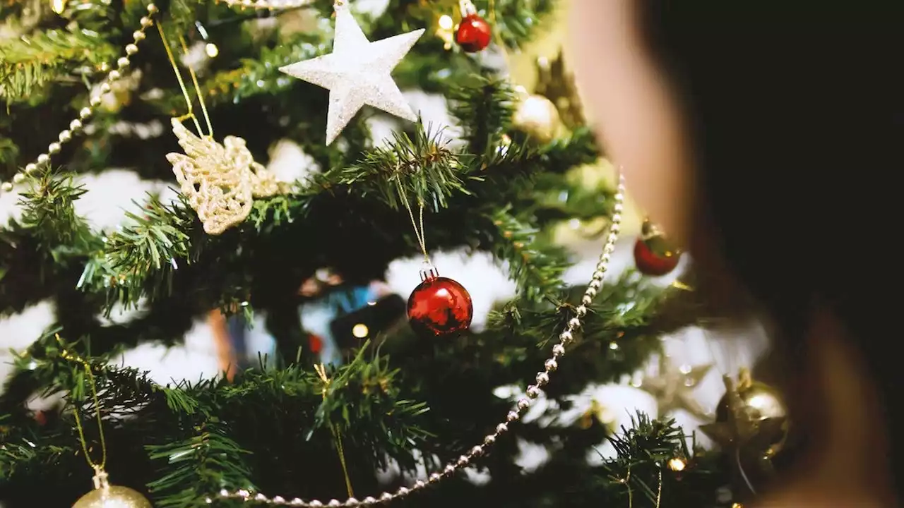 Detenido por lanzar un árbol de Navidad contra su mujer en Florida