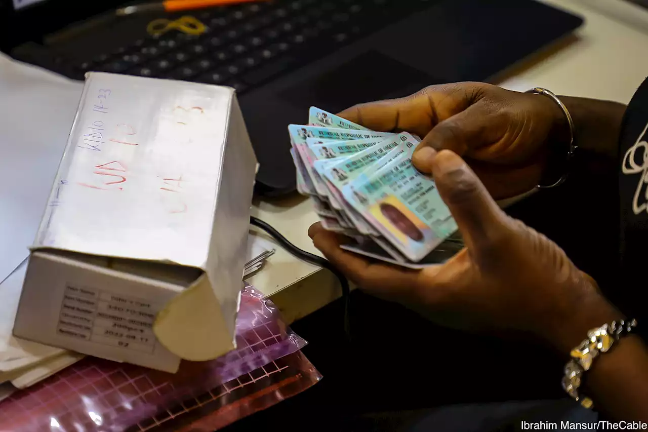 ICYMI: Politicians buying PVCs with N2000 in the north, NEF alleges