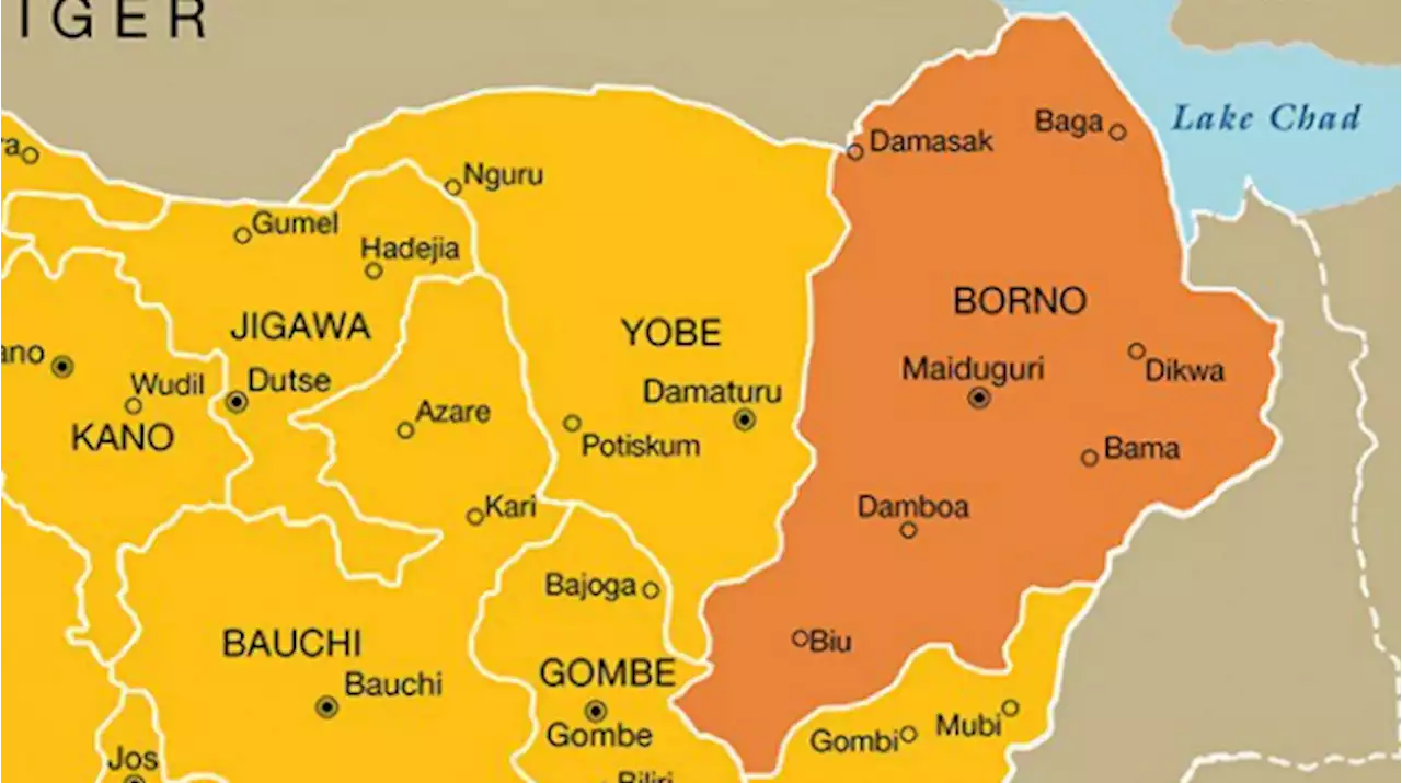 Troops ambush 'insurgents' in Borno community, kill four | TheCable