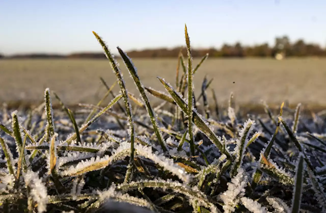 'Unsettled' weekend ahead with Status Orange warning in place for 16 counties today