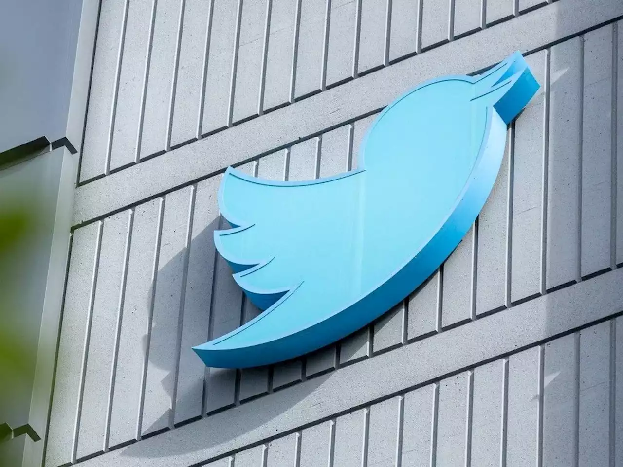 Russell Wangersky: Twitter, I'll miss you — but not enough to stay