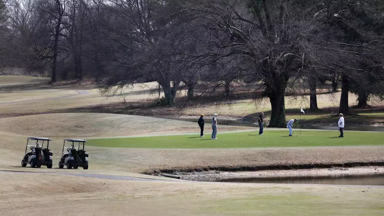 NAACP wants attempted murder charge after golfer bashes man in head with club