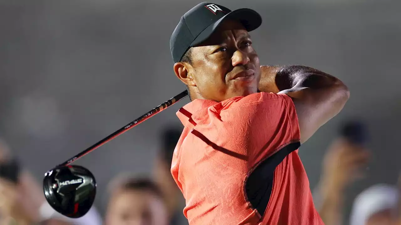 Padraig Harrington believes Tiger Woods will win another major championship