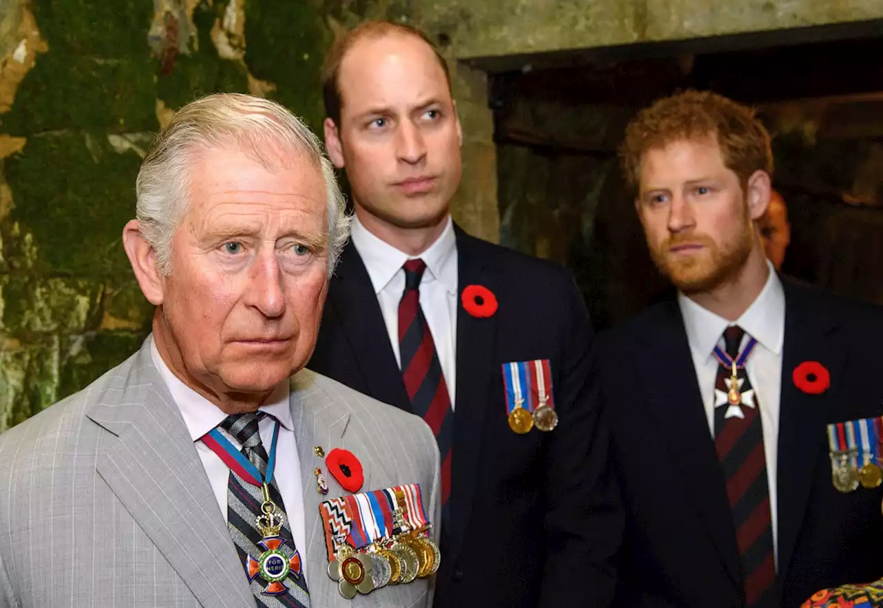 Prince Harry and Father King Charles III's Ups and Downs Through the Years