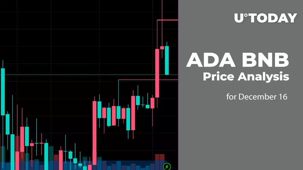 ADA and BNB Price Analysis for December 16