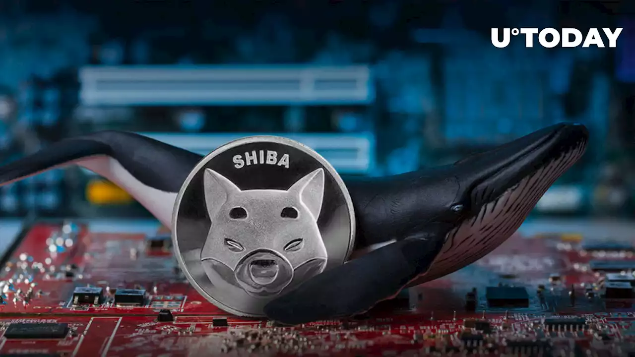 Trillions of Shiba Inu Wired Between Anon Wallets as Top Whales Dump Their SHIB