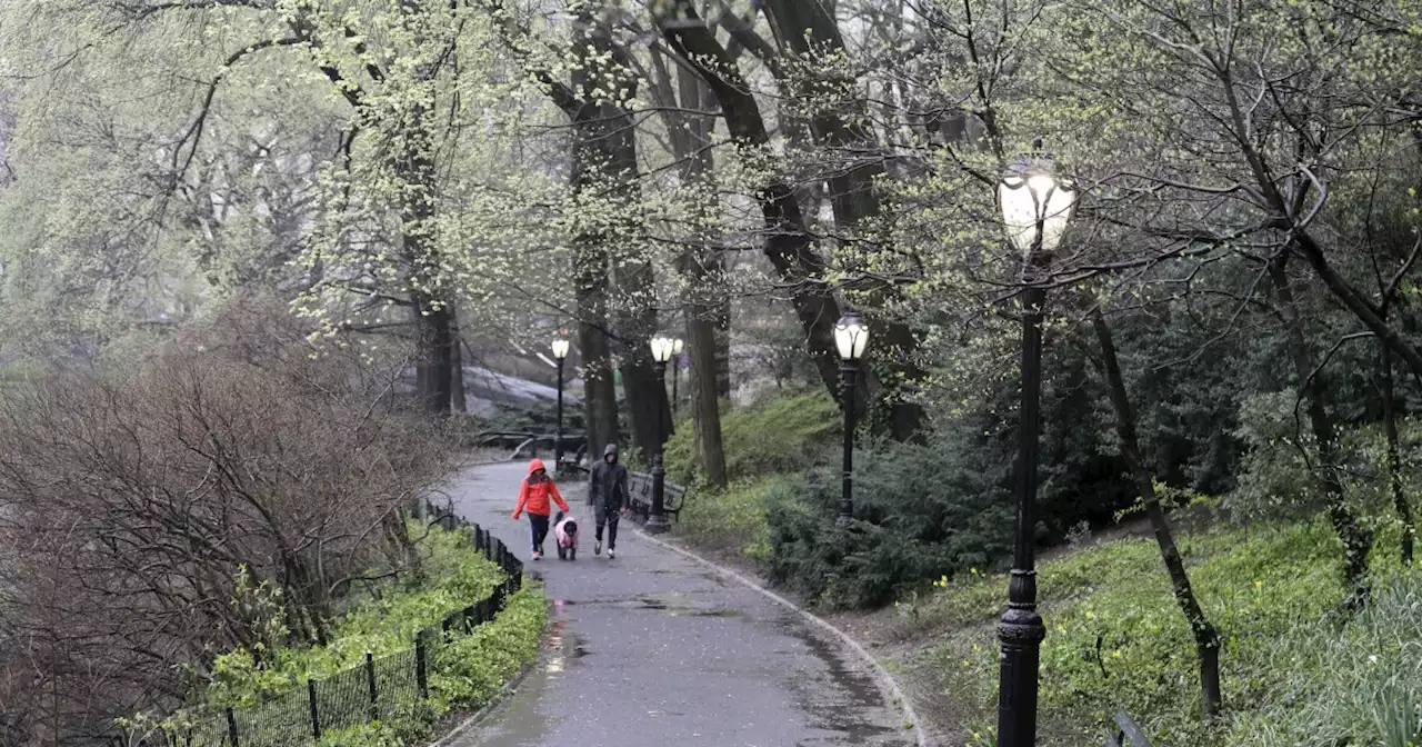 NYPD searching for suspect in alleged antisemitic attack in Central Park