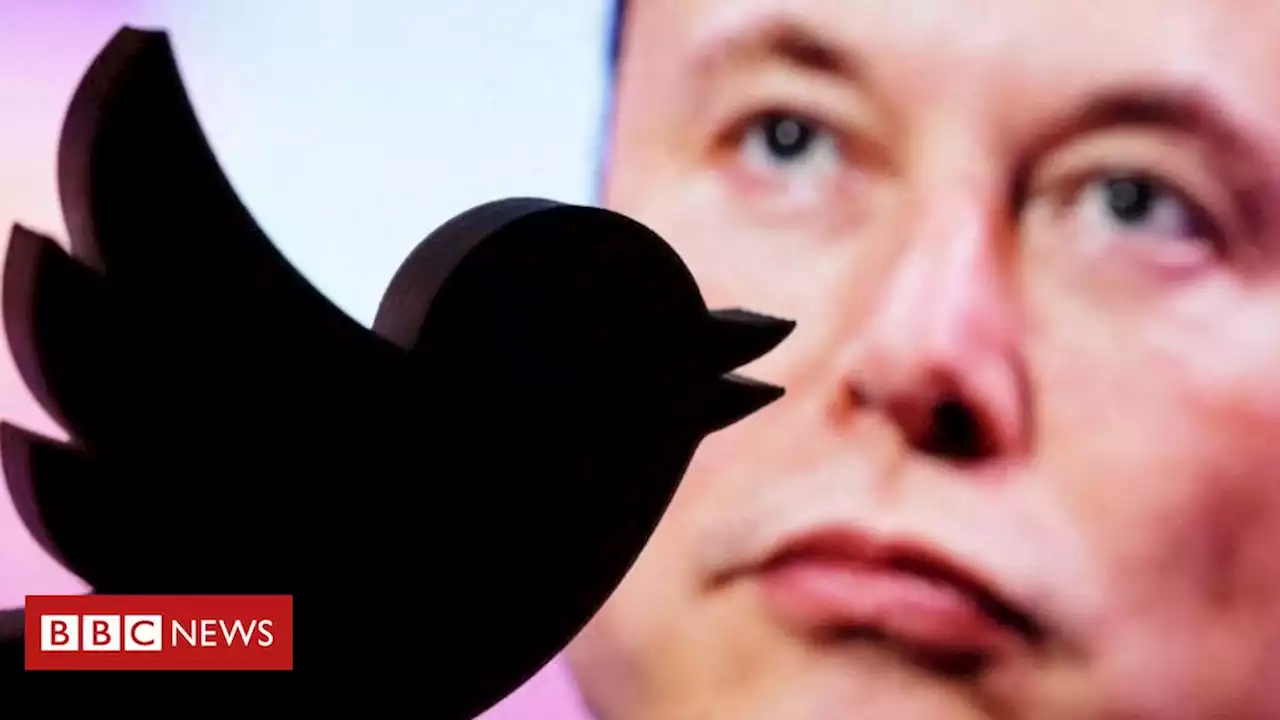 ONU e União Europeia criticam suspensão de jornalistas do Twitter - BBC News Brasil