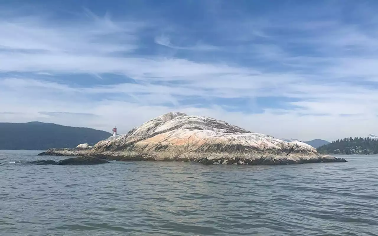 Grebes and golf: The fascinating story behind West Vancouver's newest park