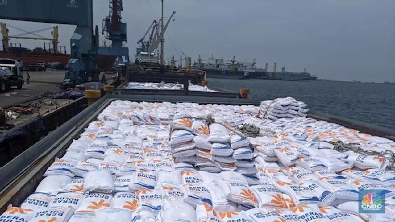 10.000 Ton Beras Impor Masuk RI, Apa yang Sebenarnya Terjadi?