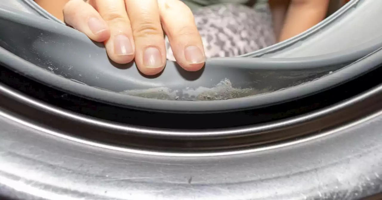 'Easy' way to clean washing machine that kills germs and removes dirt