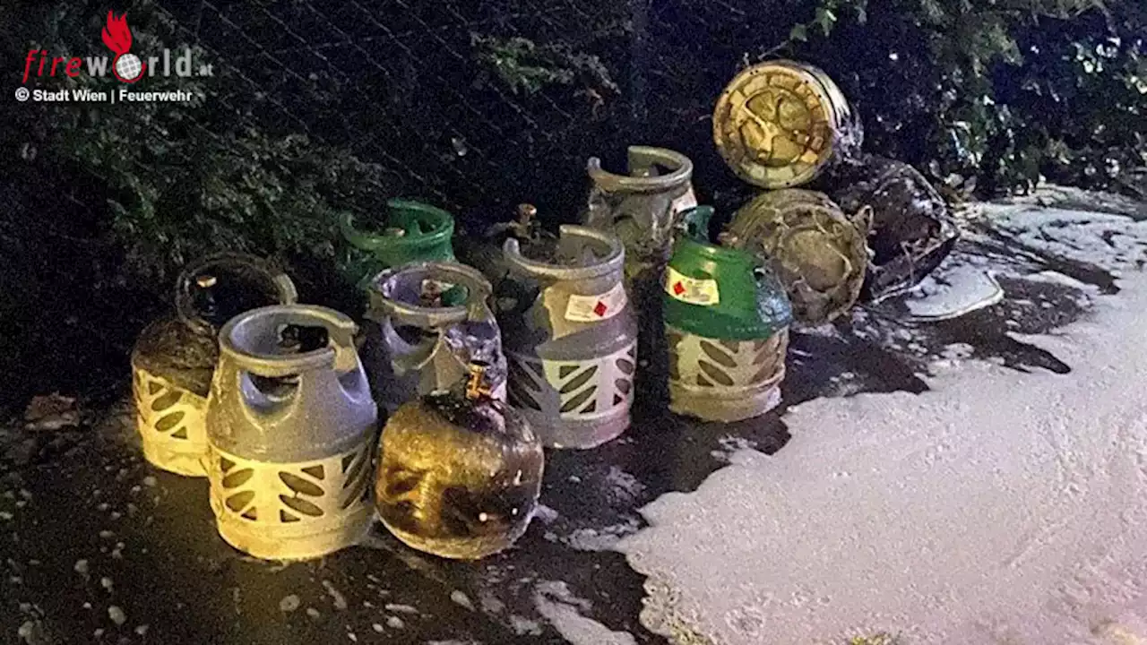 Wien: Brand mit Explosion in Wohnanlage → Herr und Hund verletzt