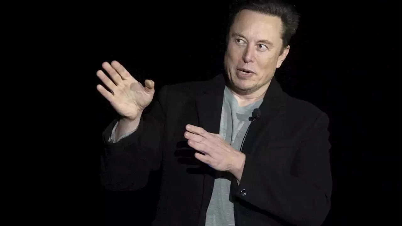 Twitter : Elon Musk promet qu'il va rétablir les comptes suspendus de journalistes