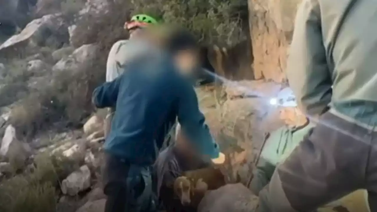 La Guardia Civil rescata a una perra atrapada en una cueva de Samper de Calanda, Teruel