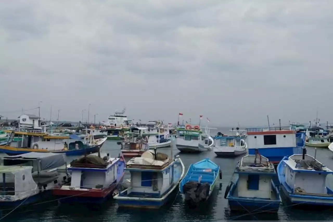 BMKG Mengimbau Nelayan Mewaspadai Gelombang Tinggi 2,5 Meter di Perairan NTT