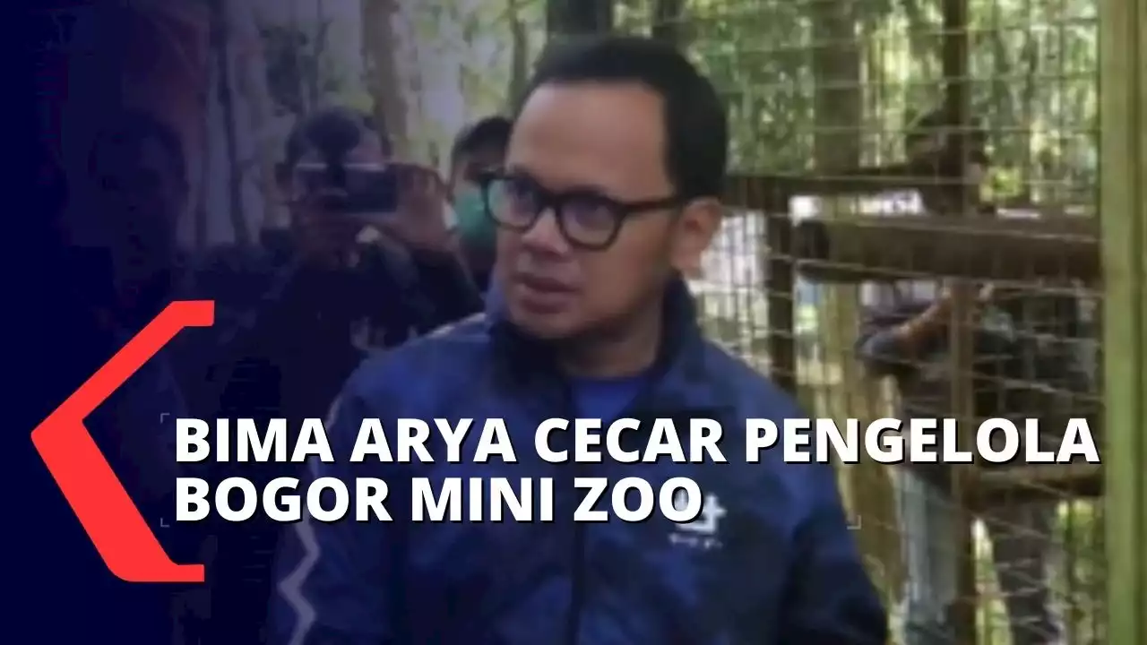 Bima Arya dan BKSDA Jawa Barat Cek Monyet Viral di Bogor Mini Zoo, Kandang Sudah Kosong!