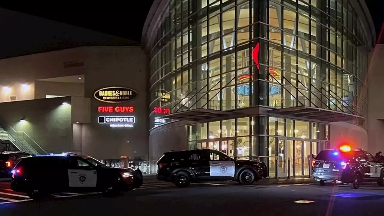 1 stabbed during fight at Tanforan mall