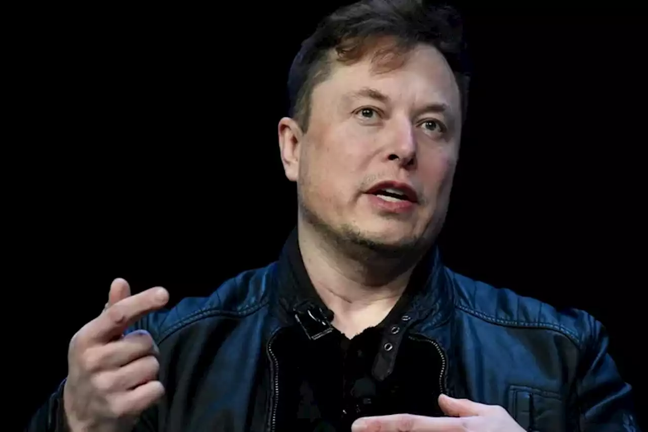 Elon Musk anunció que restablecerá las cuentas suspendidas en Twitter de varios periodistas