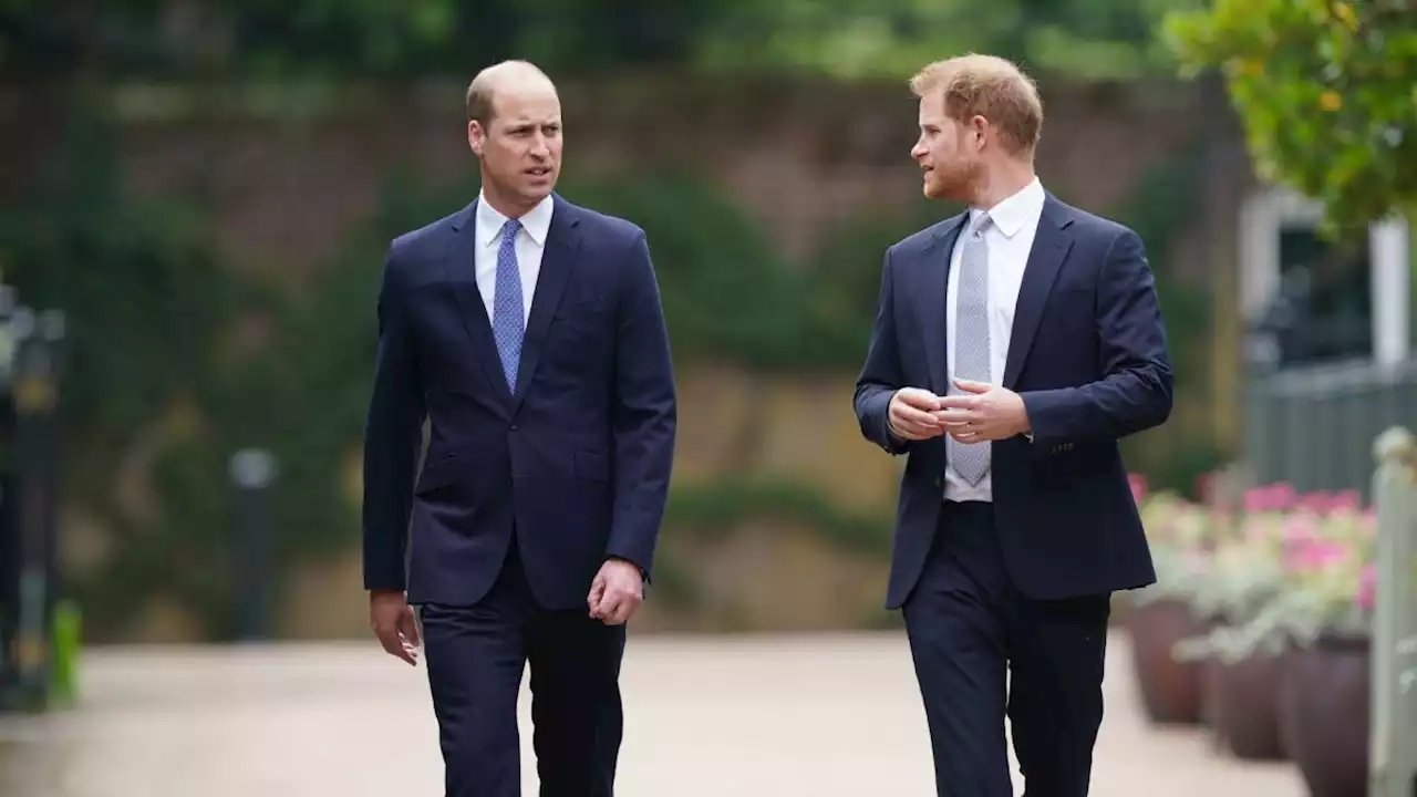 Prince William Likely to Ban Prince Harry from Attending Coronation, Expert Claims